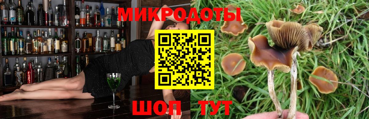 Псилоцибиновые грибы GOLDEN TEACHER  Псилоцибиновые грибы мицелий  Вход с VPN  Улан-Удэ 
