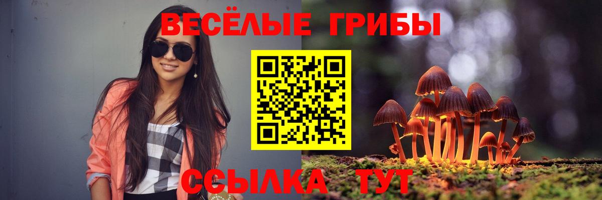 Псилоцибиновые грибы прущие грибы Улан-Удэ